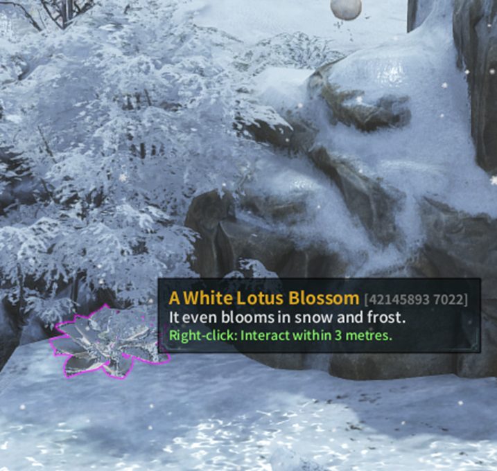 Best Hidden Treasure Locations in Sword of Legends Online