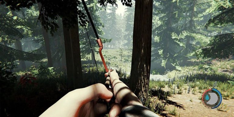 The Forest