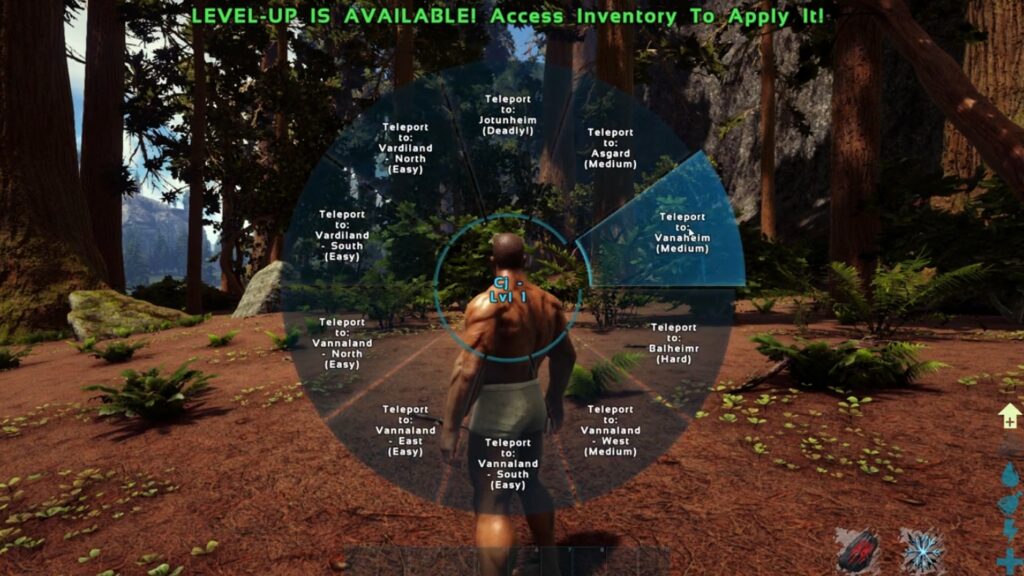 Realm Teleportation ARK Fjordur
