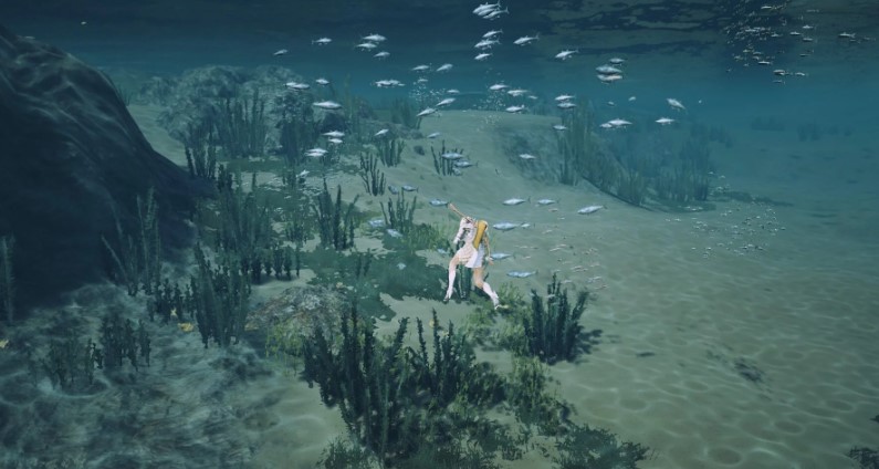 bdo guide to underwater gathering gear
