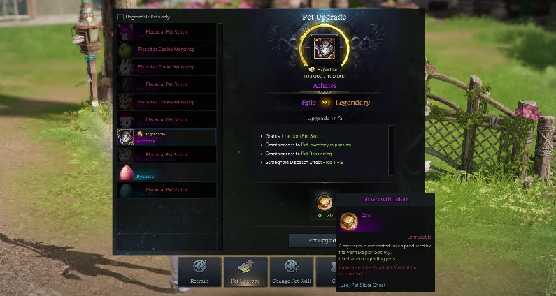 lost ark pet ranch guide rewards6