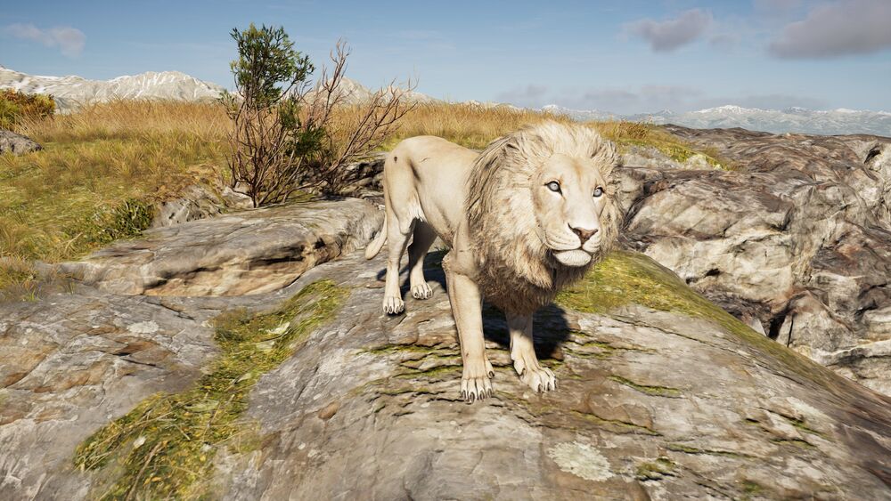 assassins creed odyssey lone lion trophy guide