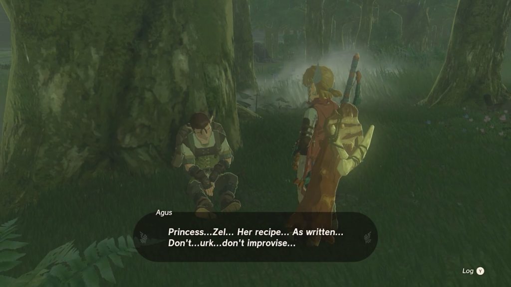 Making Princess Zelda’s Recipe