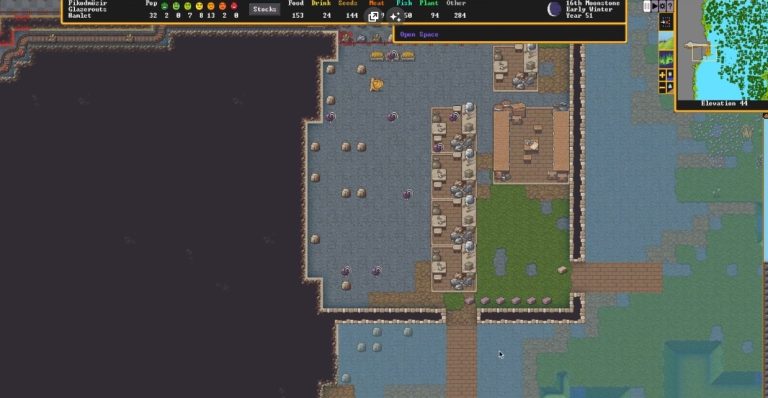 Dwarf Fortress