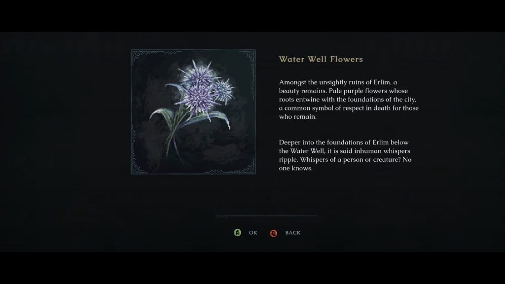 The Last Faith: Till Death Do Us Part Achievement & Trophy Water Well Flowers