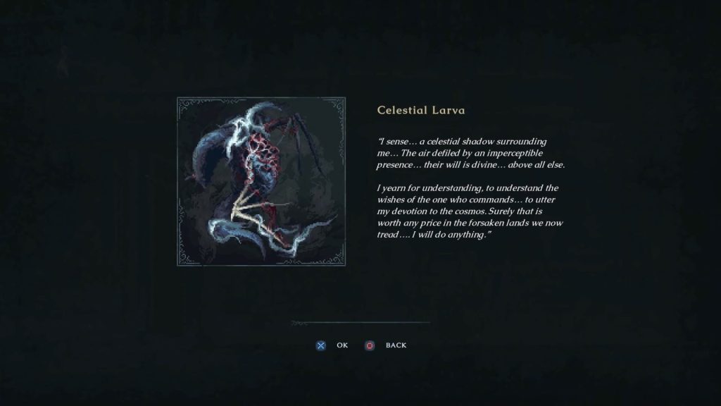 Description for the Celestial Larva