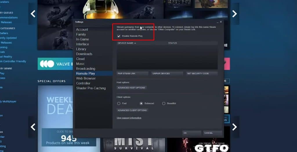 Steam Screenshot 2