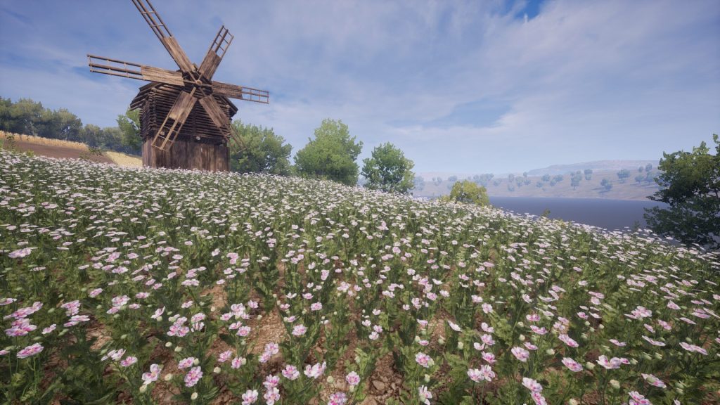 A farm with a Windmill