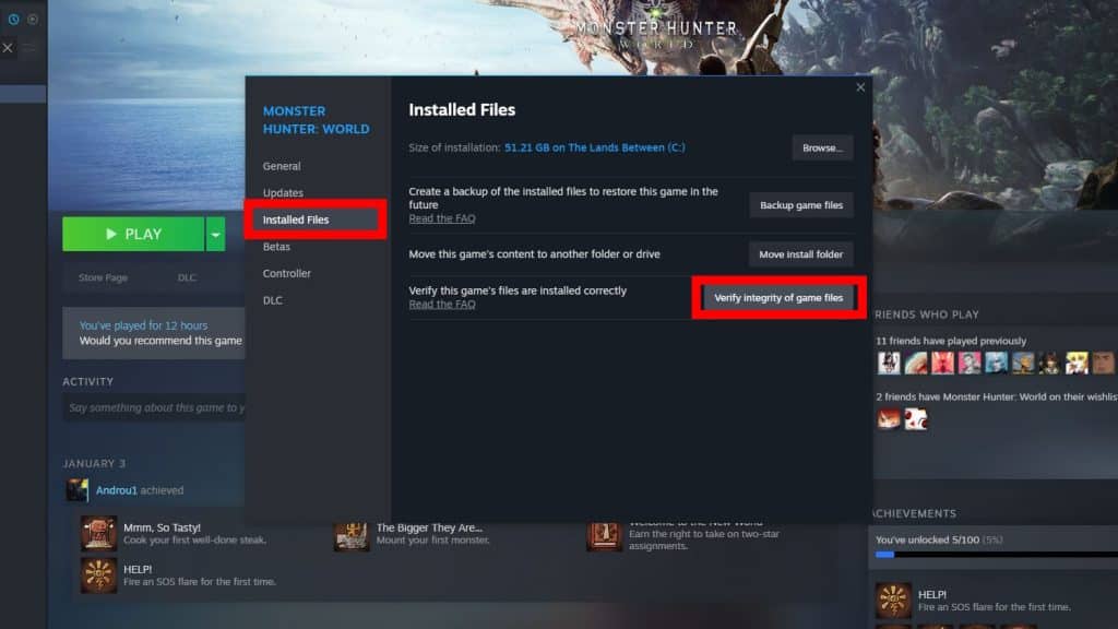 Verify integrity of game files option on Steam