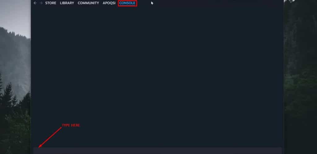 Steam Console