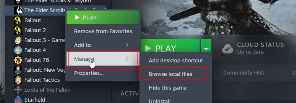Skyrim on Steam Local Files