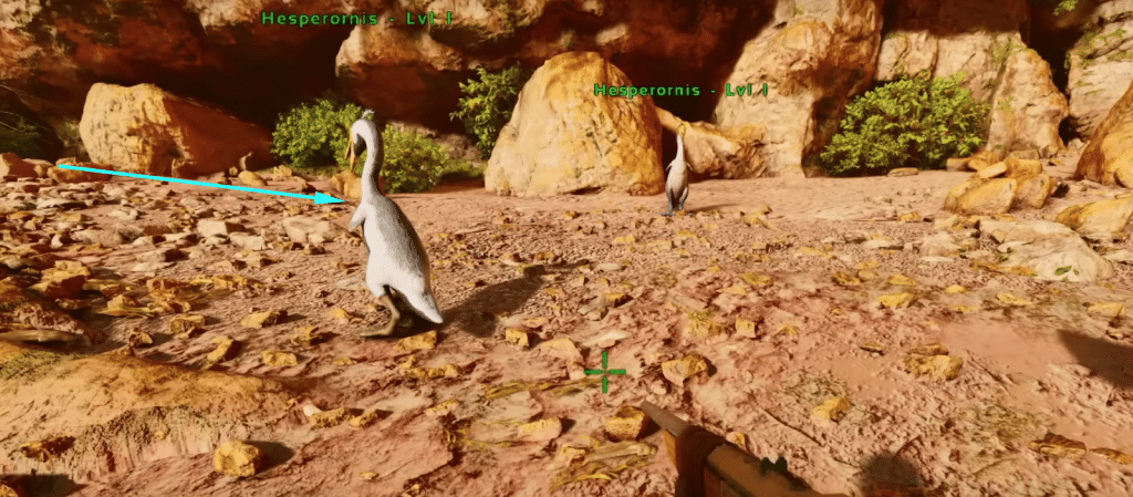 Tamed Hesperornis