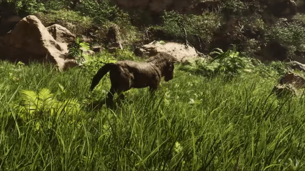 Equus
