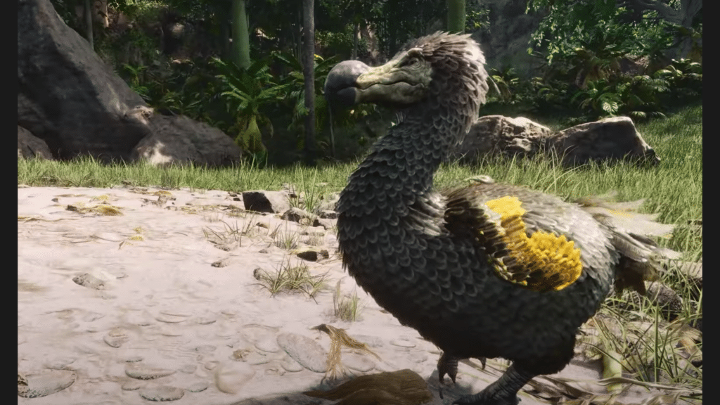 Dodo