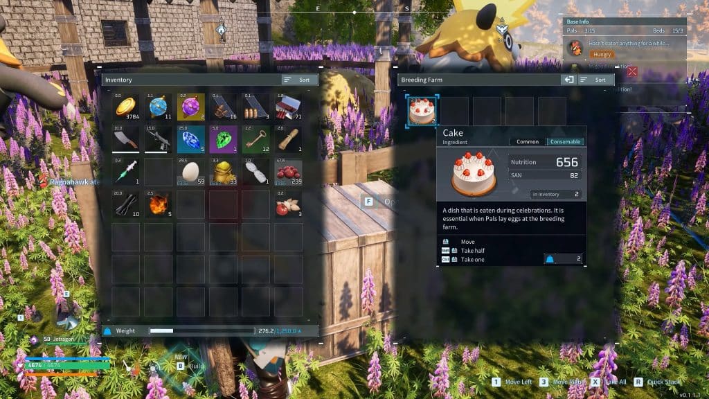 Cake in the cake box at the Breeding Farm