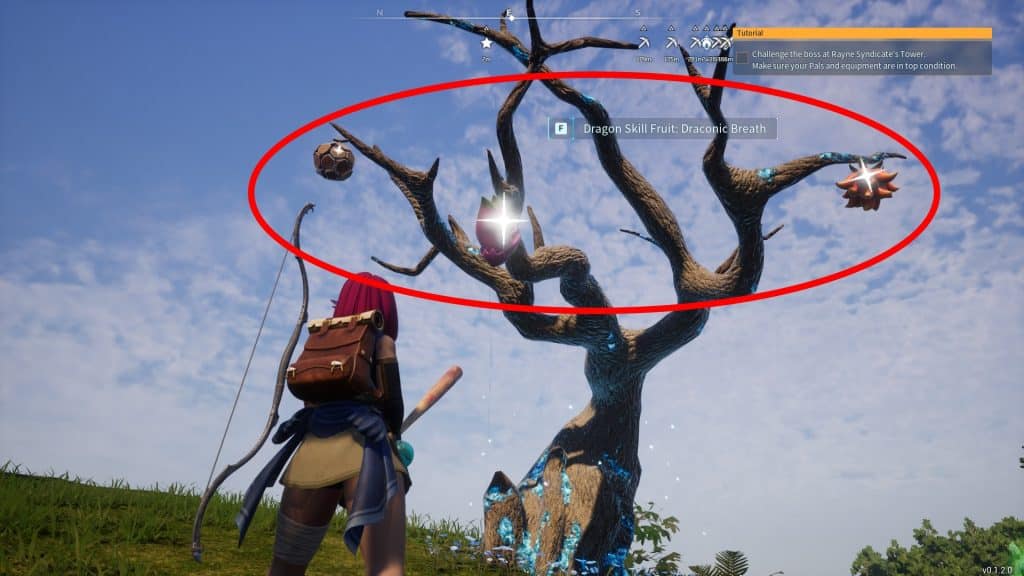 Example of the Skill Fruits