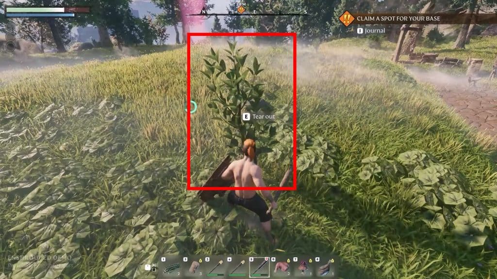 Enshrouded: Top Beginner's Tips to Get You Started - Plant Fiber