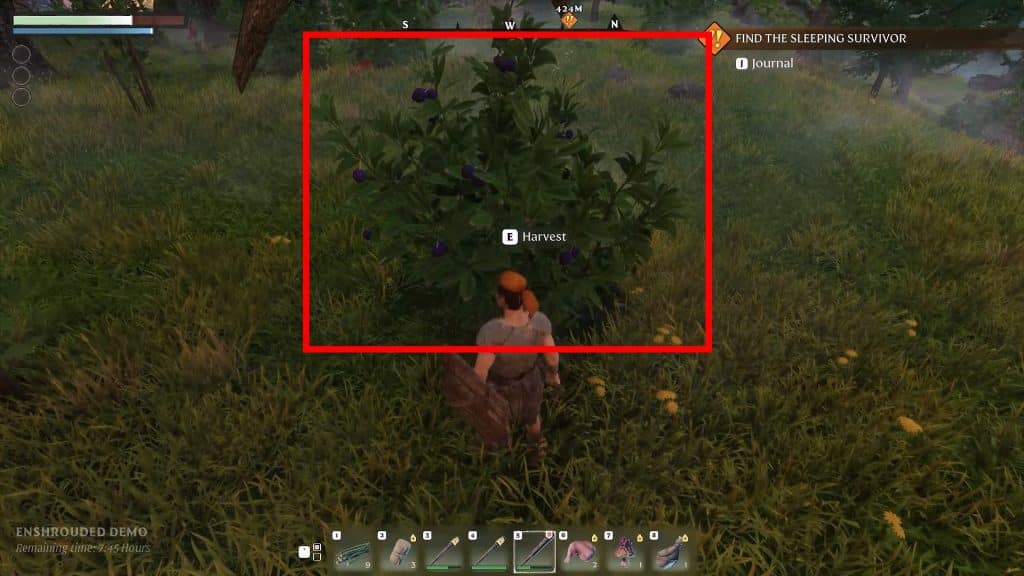 Enshrouded: Top Beginner's Tips to Get You Started - Berries