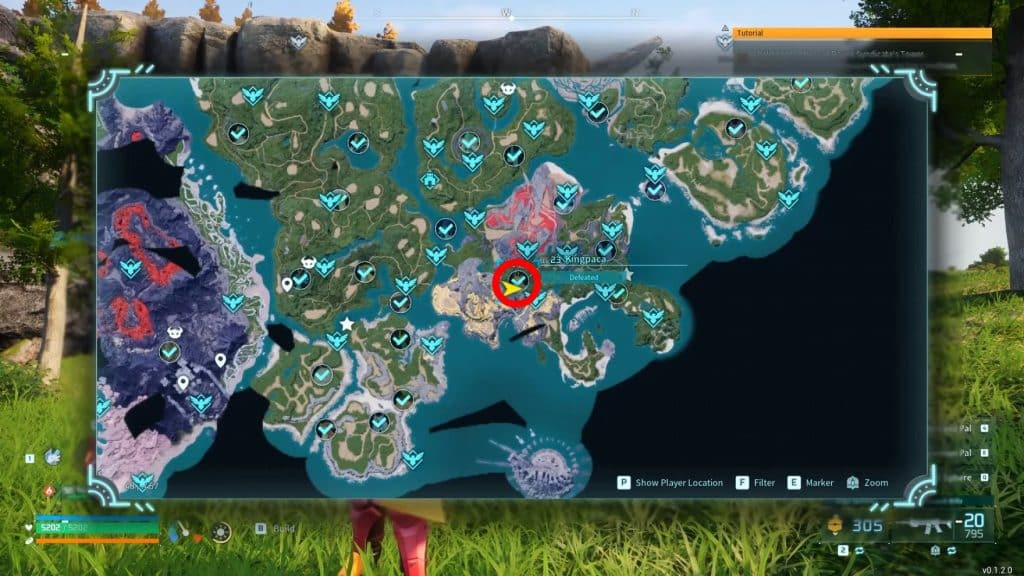 Alpha Kingpaca location