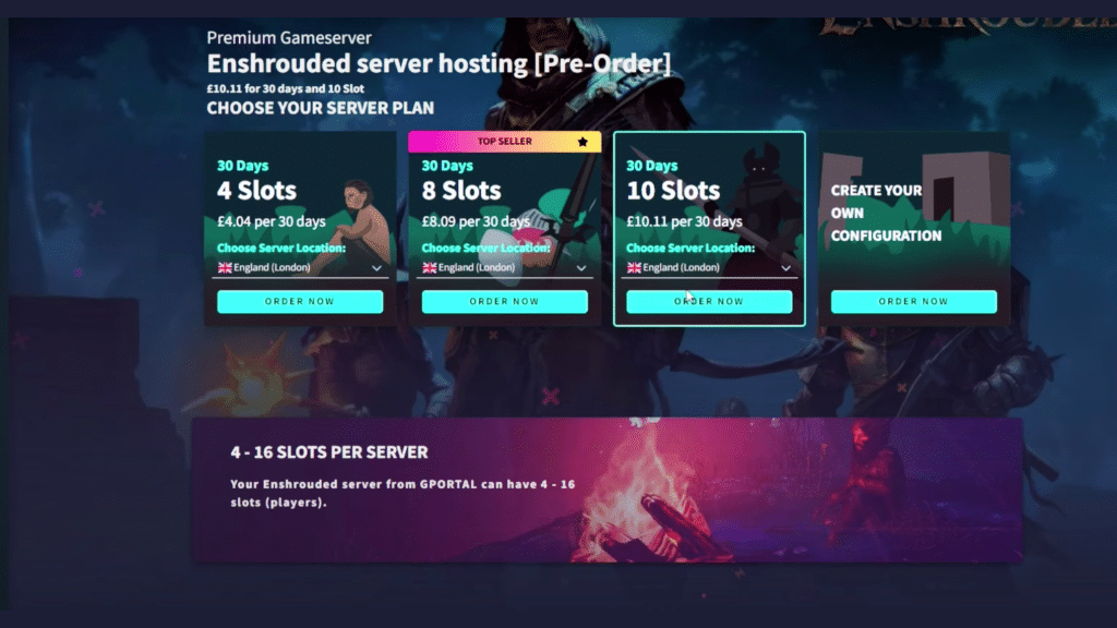 Renting a Server