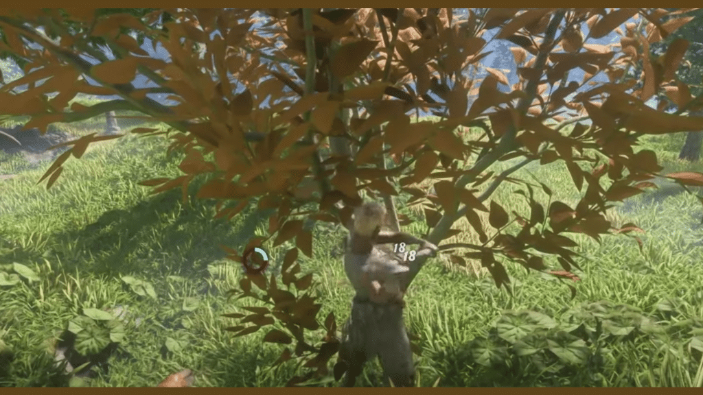 Trees