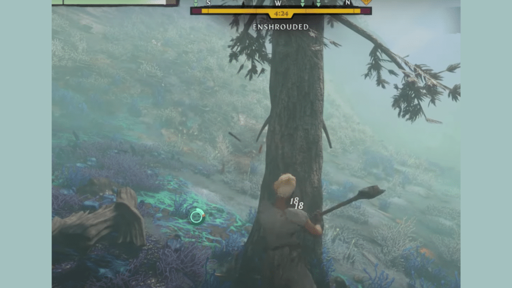 Shroud Wood