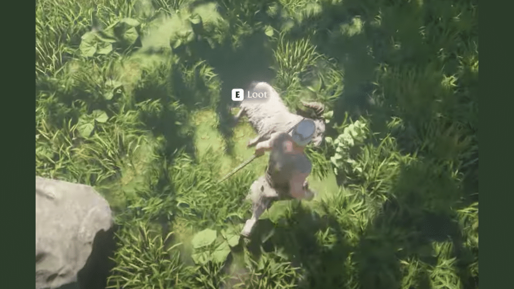 Sheep Loot