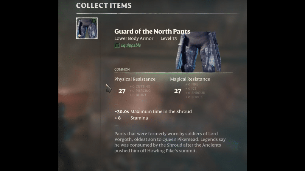 pants item description