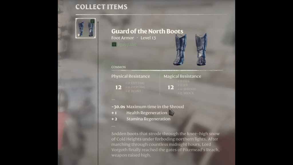 Boots item description