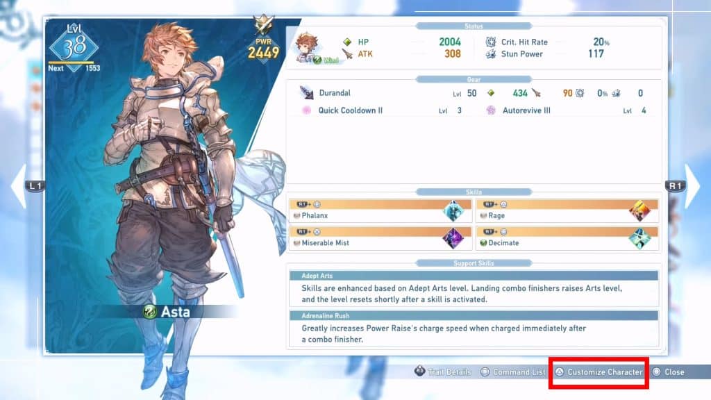Customize Character