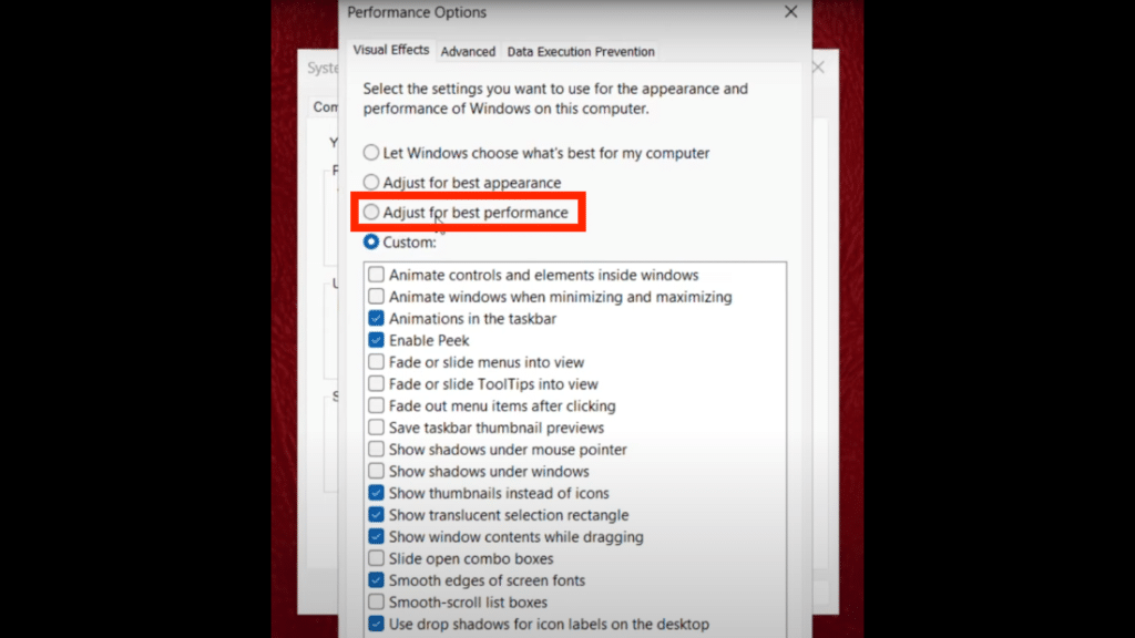 performance options with adjust to best performance option highlighted