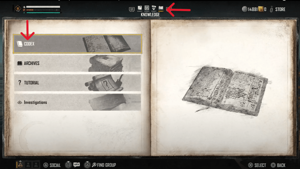 Codex located in the knowledge tab.