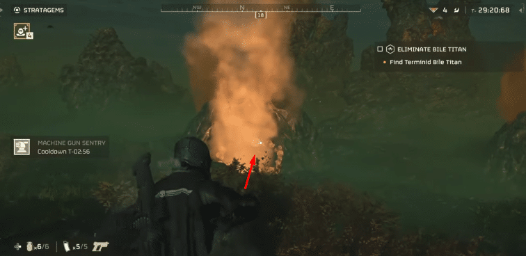 Insect holes
