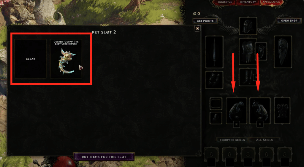 equipping the cosmetic pet