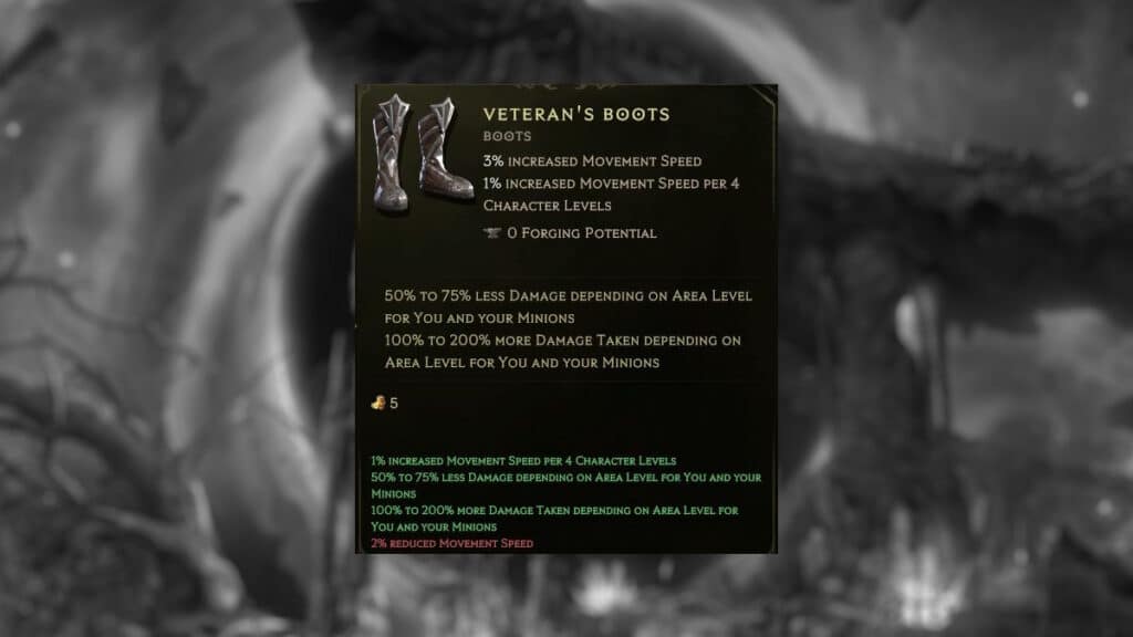 The Veteran's Boots item
