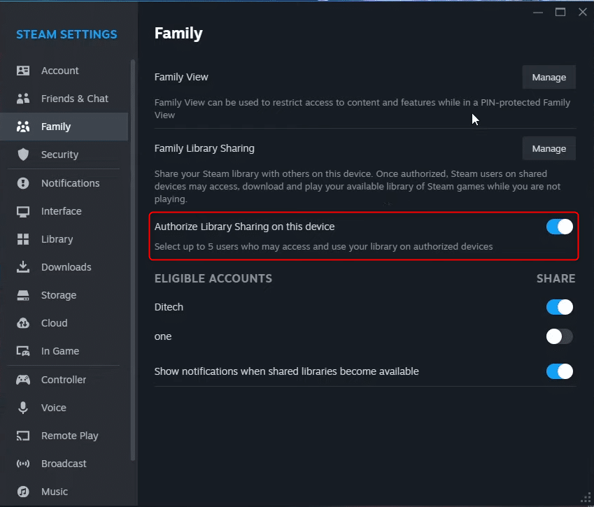 Steam Settings for Last Epoch