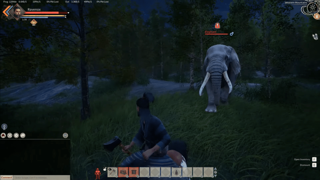 luring elephant to cage