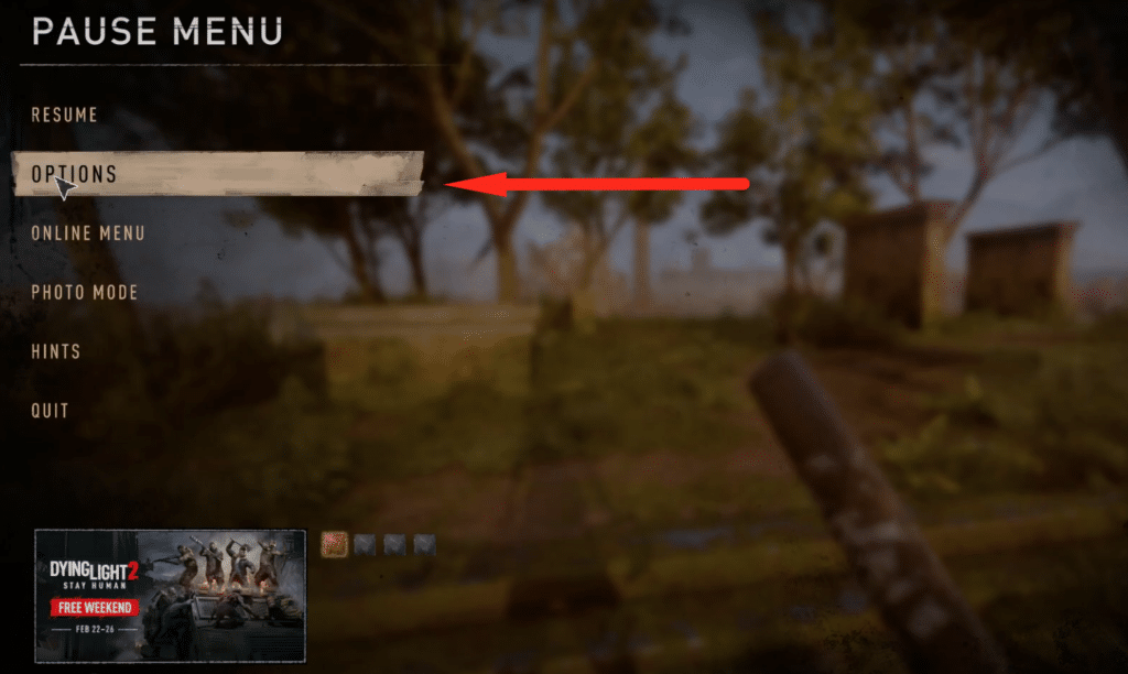 options from the pause menu