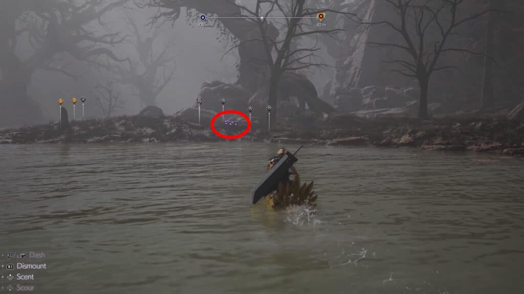 Hi-Caliber Rifle chest in the swamp, cross with a Chocobo