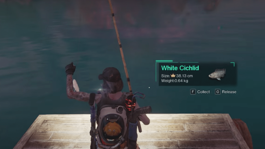 Successfully catching a fish will allow you to collect it and use it however you like.