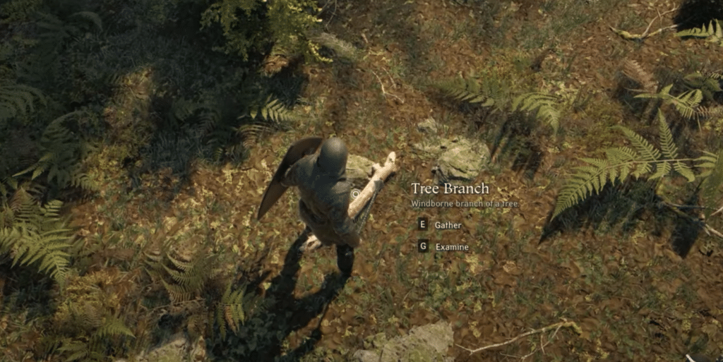You will need to collect resources like tree brances in the early game.