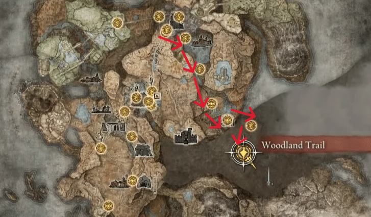 From Main Gate Plaza to Woodland Trail