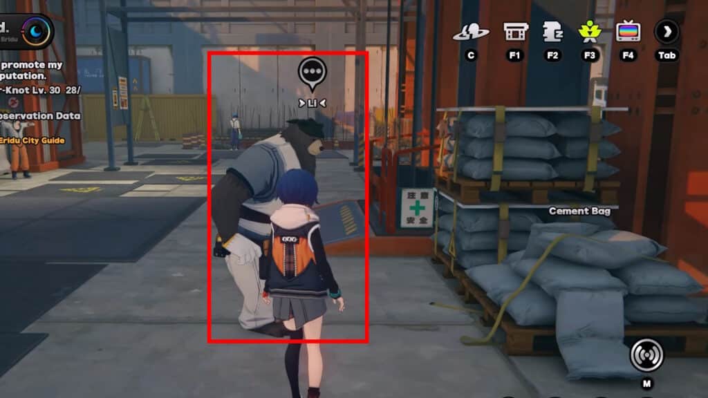 Li's Cement Bags