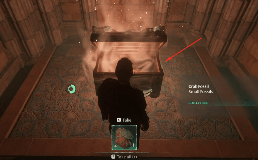 The chest containing the fossil