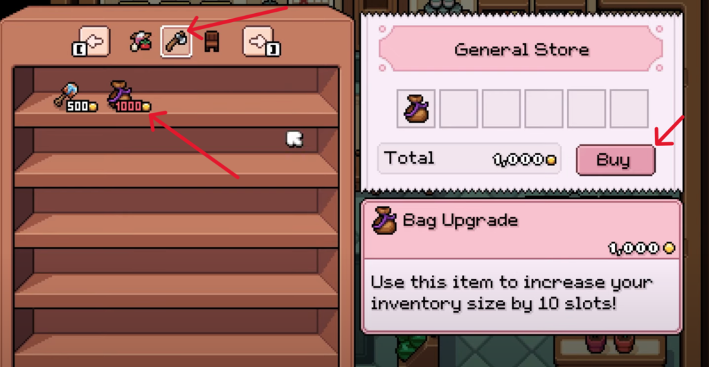 Bag Upgrade