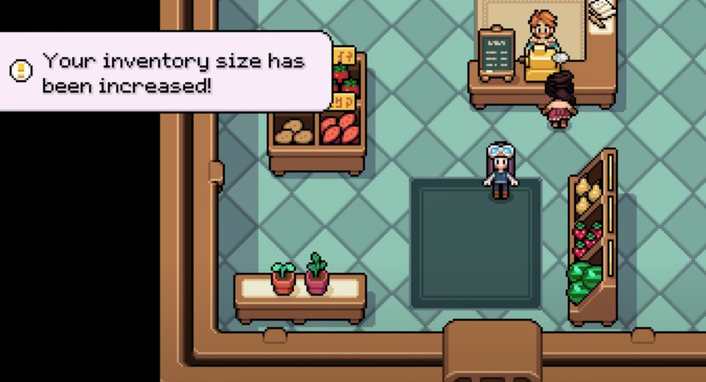 Inventory Increased 