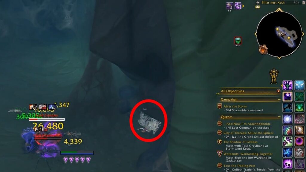 Example of a Lost Companion