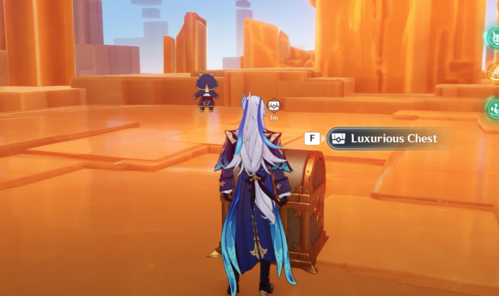 The Luxurious Chest