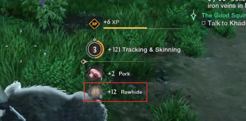 Rawhide being collected from an animal
