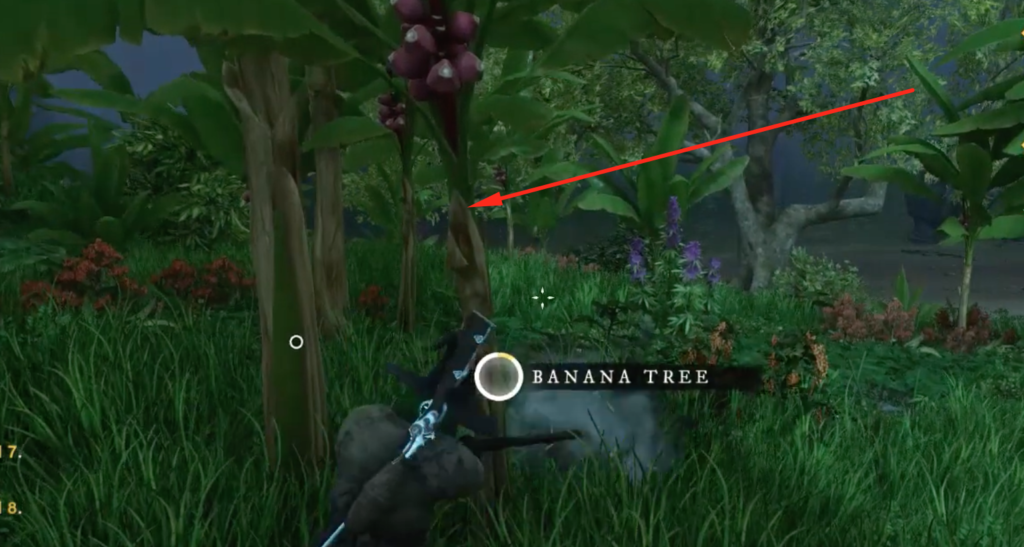 Cutting down a Banana Tree for some Green Wood